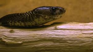 What i had not expected was for sky, age. Rdyj Oxzcr1akm