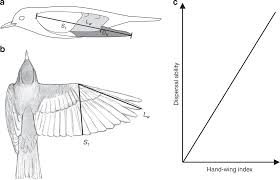 Aircraft wing fold system download pdf. Ecological Drivers Of Global Gradients In Avian Dispersal Inferred From Wing Morphology Nature Communications