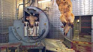 Our daily bread is een amerikaanse dramafilm uit 1934 onder regie van king vidor. Ngf Nikolaus Geyrhalter Filmproduktion Our Daily Bread