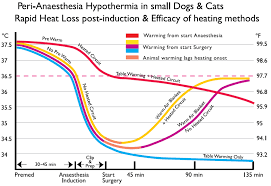 solving perianaesthetic hypothermia wsava 2014 congress vin