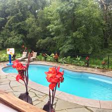 Canna By The Pool Outdoor Decor Pool Outdoor