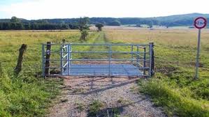 Weiderost Die Aufgabe Des Viehrostes Besteht Darin Weidetiere In Der Regel Rinder Schafe Und Andere Huftiere Am Verlassen Der Outdoor Farmland Vineyard