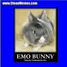 Emo Bunny Clean Memes