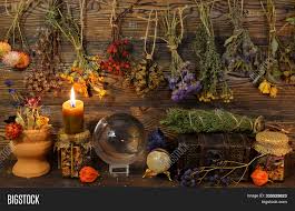 We did not find results for: Still Life Dry Herbs Image Photo Free Trial Bigstock