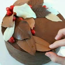 Epingle Par Nadine Sur Recettes Deco Chocolat Decoration Chocolat Comment Decorer Un Gateau