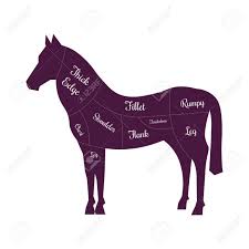 Horse Meat Cuts Butcher Vector Icon Horse Silhouette For Butchery