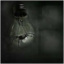 Pin By Tellascarystory Com On Spider And Tarantula Art Dark Art Photography Beautiful Dark Art Spider Art