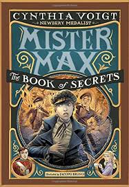 Robot Check The Secret Book Books Chapter Books