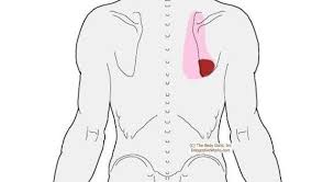 Pin On Exercise