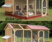 Which chicken coop design is best?