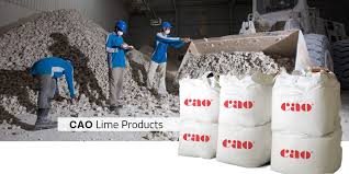 Is a leading brand form malaysia. Wall Coating Malaysia Wall Plaster Wall Render Cao Industries