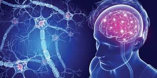 Genética en esclerosis múltiple multiple sclerosis.… documents. Dia Mundial De La Esclerosis Multiple Los Desafios En Tiempos De Coronavirus Prensa Objetiva