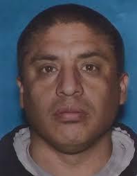 Suspected Driver Released After Arrest in Hit-and-Run That Killed Mother of  3 in Silver Lake: LAPD