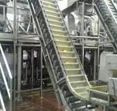 MUSHROOM CANNING LINE