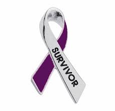Domestic violence awareness is represented by the color purple. Domestic Violence Survivor Pin Purple