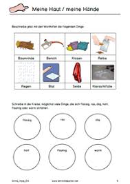 Alle Hefte Meine Funf Sinne Funf Sinne Kindergarten Naturwissenschaften Fur Die Grundschule Kreativer Unterricht