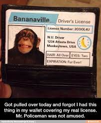 Driver S License Funny Funny Pictures Amusing