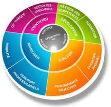 Les Modules Rh Permettent D Instaurer Une Veritable Politique Gpec Gestion Previsionnelle Des Empl Gestion Des Ressources Humaines Ressources Humaines Gestion