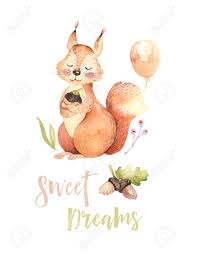 Cute Watercolor Bohemian Baby Squirrel Animal Poster For Nursary,.. Stock  Photo, Picture And Royalty Free Image. Image 99064613.