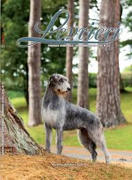 Kollaps allevamento levrieri e allevamento whippet. Calameo Levrieri Primavera Estate 2018