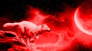 Maybe you would like to learn more about one of these? Best Hd Cool Wolf Wallpaper 2021 Cool Wallpaper Hd
