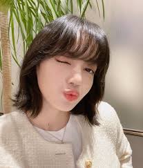 Lisa Wink's Instagram, Twitter & Facebook