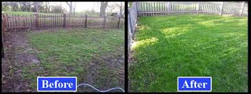 Well, grass seeds, as well as the seeds of other types of weeds, can germinate and grow roots easily in the climate created by the mulch. Lawn Renovation Grading Sodding Seeding Services Kg Landscape