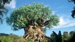 Mans Epic Photobomb at Disneys Animal Kingdom Has People Calling Him a  Genius - WanderWisdom News