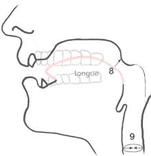 10, 11, 12, 13, 14, 15, 16 . Spanish G 3 Ways Of Pronunciation 6 Simple Tips For English Natives