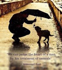 10 Amazing Quotes About Animals And Love Animal Quotes Dog Quotes Animals