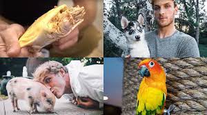 Follow me on instagram @loganpaul business: Logan Paul S Bird Dog Other Pets Everything To Know About The Youtuber S Animal Kingdom Sporting News