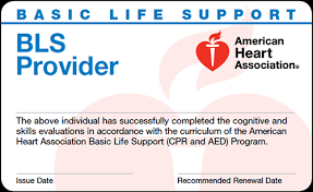 It is designed for healthcare providers and trained first responders who provide care to patients in a wide variety of settings or by those in a healthcare training program. How To List Certifications On Resume Cpr Bls Fema Certification On Resume Rb