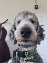 Maybe you would like to learn more about one of these? Maine Pet Supply Home Facebook