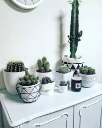 30 Cozy Bedroom With Cactus Decor Ideas Craft And Home Ideas Cactus Decor Plants Plant Decor