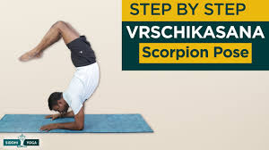 Vrschikasana Scorpion Pose Benefits Contraindications How To Do By Yogi Ritesh Siddhi Yoga Youtube