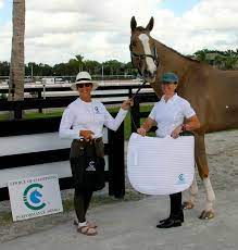 Heather Mason and Zar Receive Choice of Champions International Performance  Award - HorsesDaily