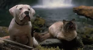 Never much cared for the name though. Homeward Bound Plett Tourism Contest