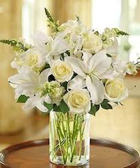 The company called me and said we don't have peace lily for same day. Dace Pavulite Dacepavulite Profile Pinterest