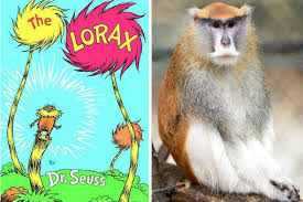Seuss' children's book of the same name. The Real Lorax Dr Seuss May Have Based His Mythical Creature On These Moustached Monkeys Natural World Earth Touch News