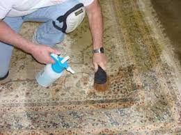 Check spelling or type a new query. Carpet Cleaning Birmingham Carpet Cleaner Birmingham Cleaning