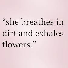 If You Agree With Most Of These Gardening Quotes You Are Definitely A True Gardener Garden Quotes Garden Quotes Signs Mexican Proverb