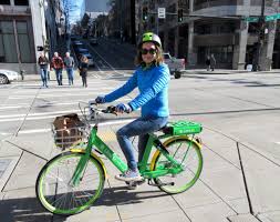 To mountain and road bikes. E Bikes Rental Near Me Off 68 Medpharmres Com