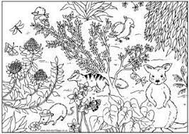 We've got the wondrous wombat these australian mandala colouring sheets are gorgeous, and it would be quite selfish to keep them to ourselves. Australian Animals Coloring Pages Australia Malbilder Ausmalbilder Ausmalen