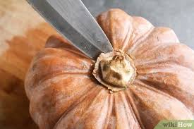 Cumplir el plan semanal completo, pero merece la pena aprovechar un buen ejemplar de calabaza para cocinarlo de una vez y sacarle el máximo partido en la cocina. Como Cocinar Una Calabaza Con Imagenes Wikihow