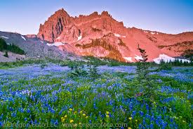 We did not find results for: Three Fingered Jack Sunrise At Canyon Creek Meadow Flickr