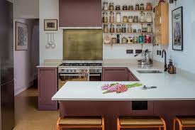 purple kitchen cabinets houzz