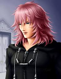 For those unaware, the kingdom hearts series character files features over 200 characters from the entirety of the series thus far, with several short stories from tomoco kanemaki (the writer of the kingdom hearts light novels). Marluxia Kingdom Hearts Kingdom Hearts Kingdom Hearts Characters Kingdom Hearts 3