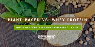 Whey and casein are two of the most popular protein supplements on the market, and for good reason. Plant Based Protein Vs Whey Protein Which One Is Better For You