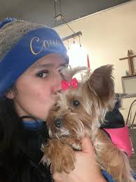 Hi I'm Cookie my nana tells me I'm adorable but I know that and give her  this look....and I know I'll get anything I want...is that cute 😍 or not ?  X |