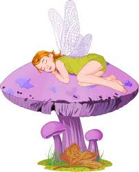 Sleeping Elf Little Cute Fairy Elf Sleeping On Mushroom Sponsored Ad Ad Elf Mushroom Sleeping Sleepin Sleeping Drawing Fairy Art Mushroom Images
